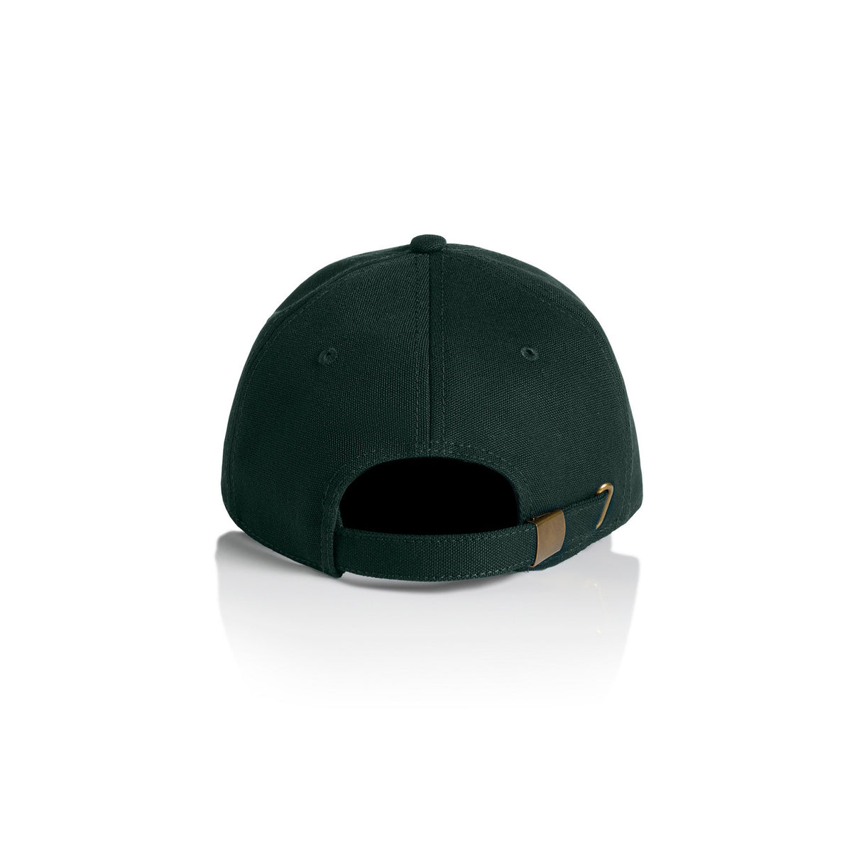 Access Canvas Cap | 1131 — PINE GREEN - BACK