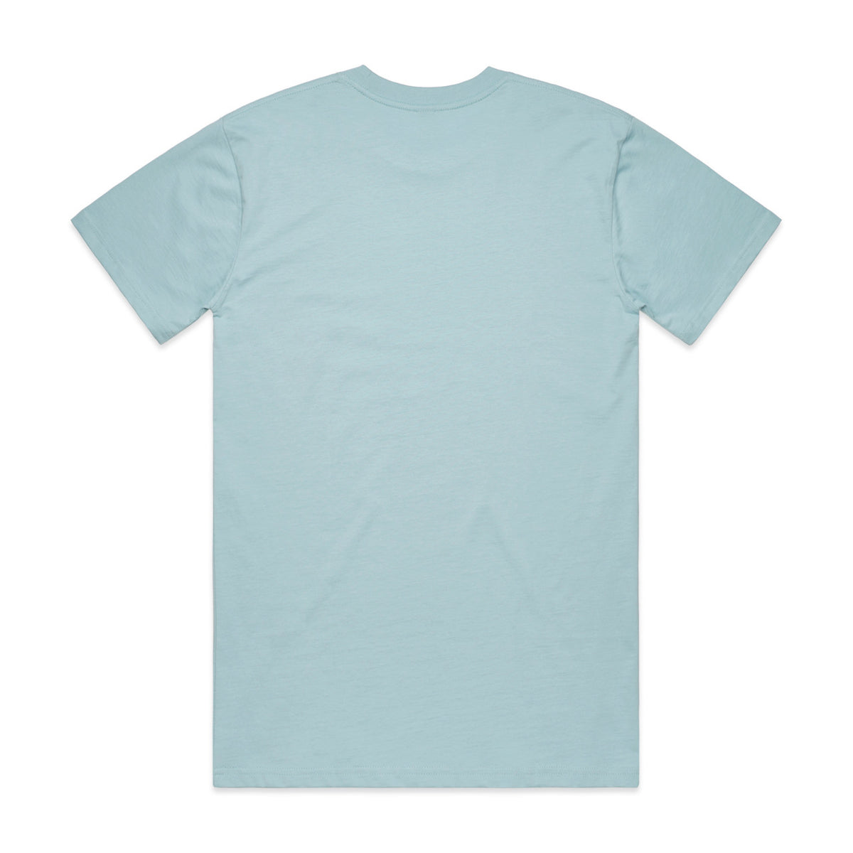 Classic Tee | 5026 — PALE BLUE - BACK