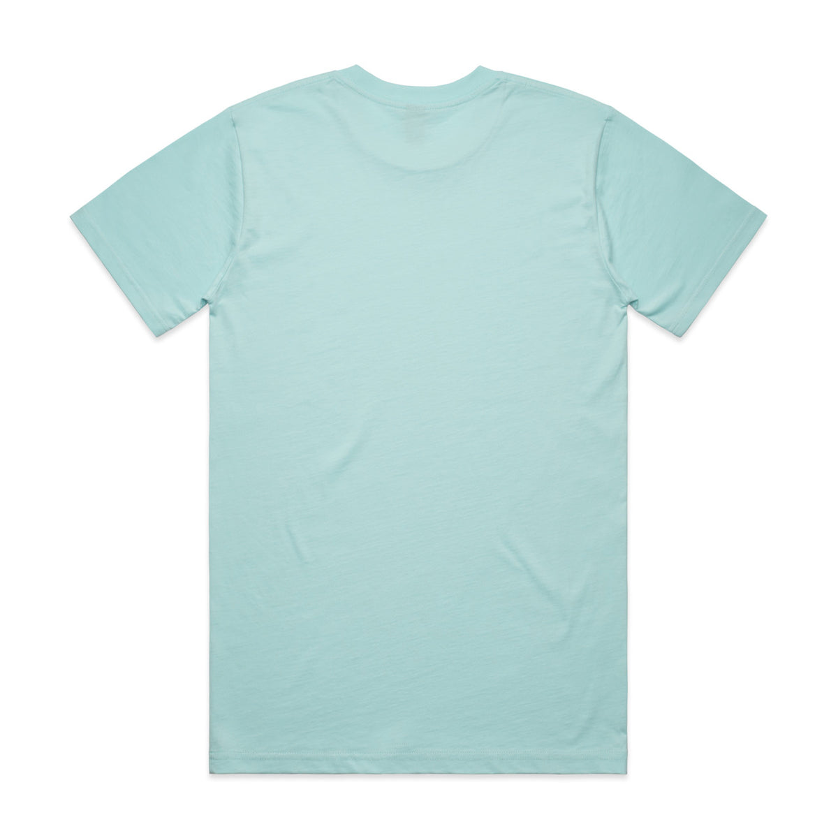 Classic Tee | 5026 — LAGOON - BACK